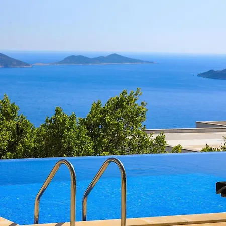 Palmy Kalkan